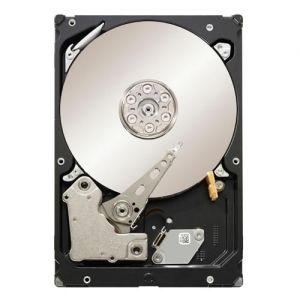 1.0Tb Seagate Barracuda Constellation ES  ST31000524NS S-ATA 7200rpm with 32Mb