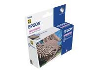 Epson C13T034640 Light Magenta SP2100